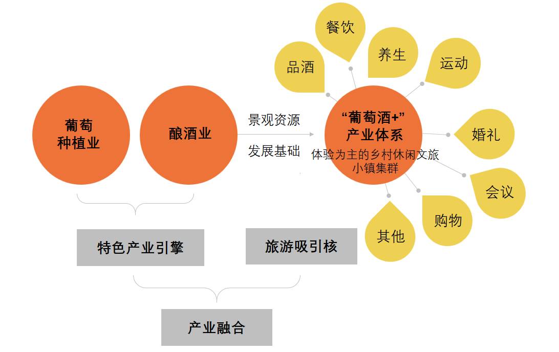 2025澳门与香港今晚开特马;全面解析与展望
