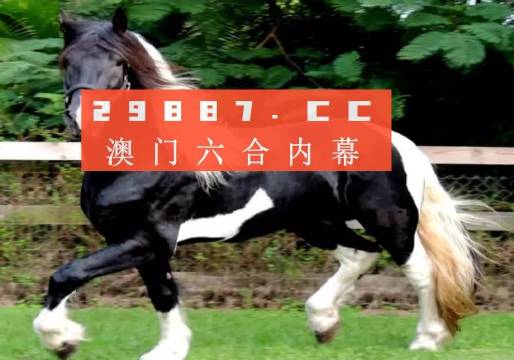 澳门与香港一肖一码一必中一肖同舟前进;全面落实与释义解答